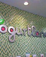 Yogurtland Garden Grove Plaza image 3