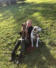 4-Pfoten Coaching Nicole Pirola Bild 3