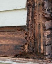 Abando Desinfecciones imagen 12