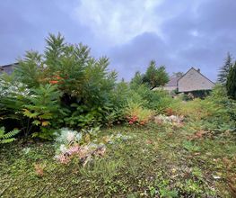 Idées jardins image 3