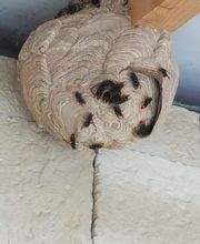 Garcia Manuel image 3