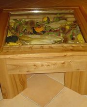 Sarl Carrau Denis image 3