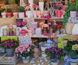 A Fleur De Pot image 10