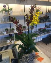 Paule-Liebchen GbR Bild 3