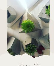 Service des fleurs image 9