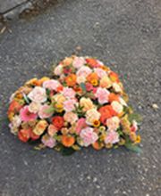 Marti Garten AG Bild 14