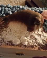 Michael Kugler Bild 4