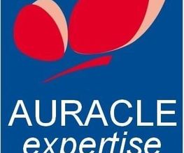 Auracle image 3