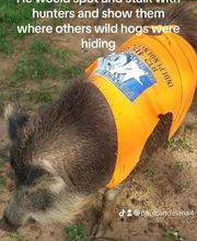 Independence Ranch image 5