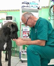 Gallery Professionale