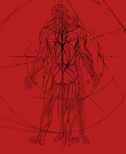 Chenevez Sébastien image 2