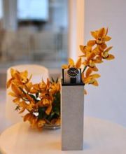 Vignolo Floral Studio | Floristería Chamartín imagen 10