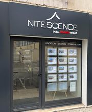 Nitescence image 5