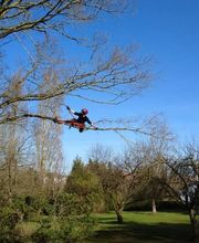 Art'Vertical image 3