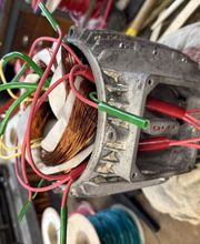 Wolf-Service Bild 11