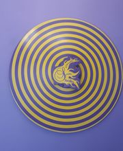 Sarah Sun Studio Bild 5