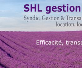 SHL CONSEIL & GESTION image 4