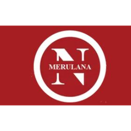 Numismatica Merulana logo