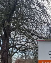 Wise Solution GmbH Bild 1