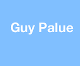 PALUE image 2