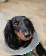 Au Bureau De L'Immo / Marion Prévite - Agence Immobilière Du 8ème image 9