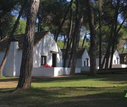 Bungalows_Camping_Dehesa_Nueva_Aznalcazar.jpg