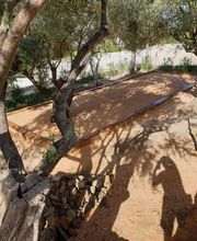 Evtp Jardins EURL image 14