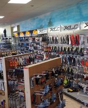 Puntomoto immagine 10