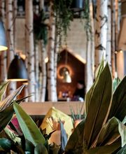 HANS IM GLÜCK - Raststätte Rheintal West Bild 11