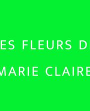 Les Fleurs de Marie Claire image 2