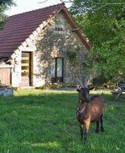 Ferme Du Combal image 3