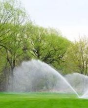 T2H Espaces Verts image 3