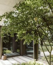 Popp Gartenbau AG Bild 13