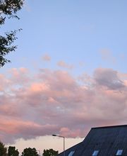 Like Cigarette image 9