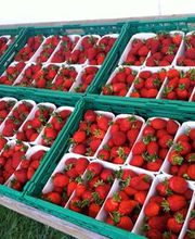 Agroservice Huber AG Bild 1