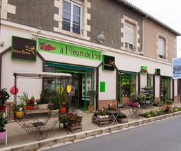 A fleur de Pot image 12