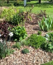 Bois Bûche Energie S.A.R.L. image 13