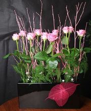 L'Orchidée image 12