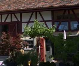 Wipf Bau AG Bild 5