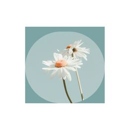 les-cinq-sens-de-virginie