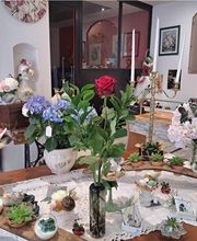 Succulentes & Orchidees image 8