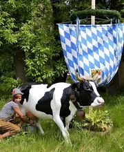 dd Eventmodul-vermietung Bild 9