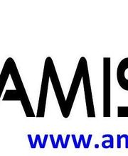 AMISUN image 12