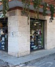 Sanitaria Ortopedia Falcone immagine 6