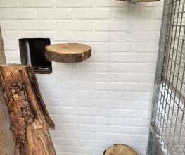 Dierenhotel Pandora afbeelding 2