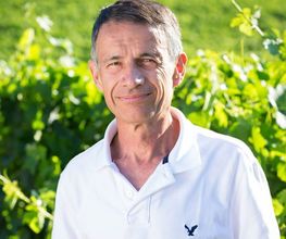 Domaine Saint André image 2