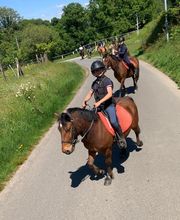 La Renarderie Equitation image 1