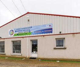 Lucas image 15