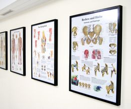 Bram van Krevel Physiotherapeut Bild 2