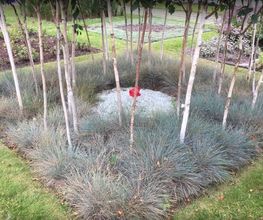 Gartenbau Schalbetter Bild 4